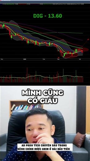Bất động sản: 4 mã CII, HHS, TCH, NLG - CHỐT NON! #shorts