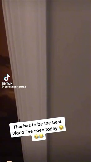 T.J. Smith on Instagram: "Elf on the Shelf CHAOS!!! I think the game would be OVER after this! 🤣🤣🤣🤣😂😂😂😂😂 (FYI- the kids aren’t supposed to touch the Elf. They lose their power)"