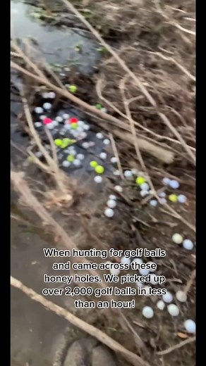 Hunting for Golf Balls: Discovering Hidden Treasures