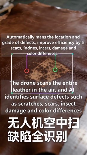 皮革制品缺陷检测 Leather Product Defect Inspection