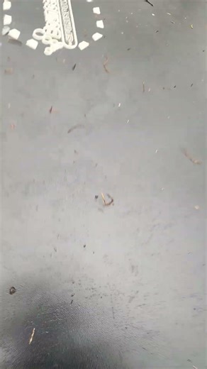 How to make a earthquake in your trampoline