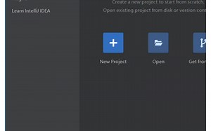JetBrains所有IDE工具汉化
