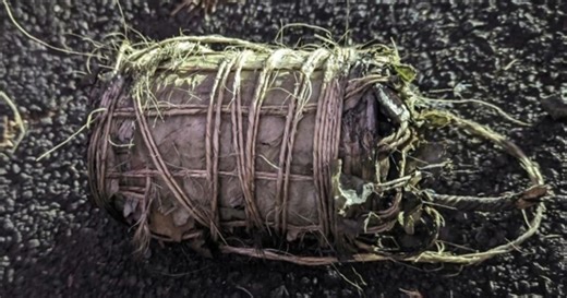 Improvised explosive devices recovered in Maui by FBI