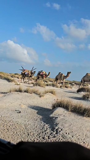 Discover the Beauty of Somalia's Landscapes and Culture