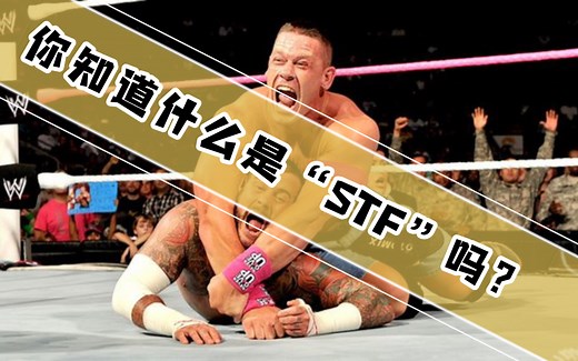 【科普】你知道什么是“STF”吗？