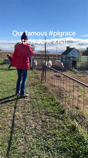 Our famous pig race kicks off for the season June 21st! Join us daily at noon sharp! 🐷🏁 #farmfun #farmlife #AgriTourism #sacketsharbor #iloveny #oldmcdonaldsfarm #fortdrum #farmanimals #pigrace | Old McDonald's Farm