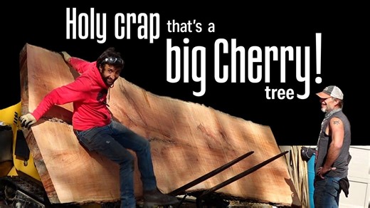 Brought Down by a Derecho but will Live on | Iowa's Biggest Cherry Tree?
