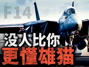 永恒的大猫！十分钟时间，带你了解舰载机传奇：F14雄猫战机！_哔哩哔哩_bilibili