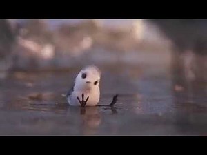 Disney Pixar's Finding Dory | Piper Short | On Blu-ray, DVD and Digital NOW