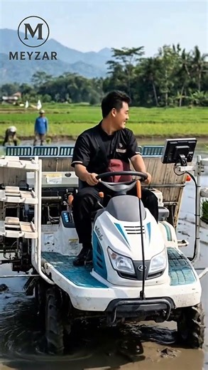 The process of planting rice using sophisticated machines