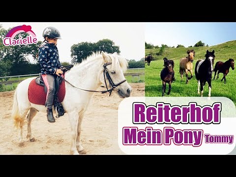 Auf dem Reiterhof 🐴 Mein Pferd Tommy! Reiten lernen ohne Zügel | Pony putzen & Galopp | Clarielle