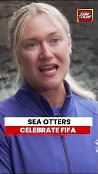 Watch: Seattle Aquarium Treats Sea Otters To World Cup Surprise | #otters #fifa #fifaworldcup #usa