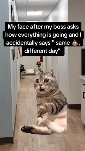 #Meme #goviral #workhumor #workmemes #goviral