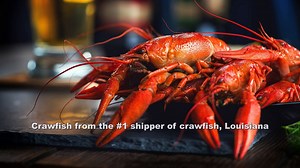 Buy Live Crawfish Online | Fresh Crawfish For Sale - Louisiana Crawfish Company(888.522.7292)