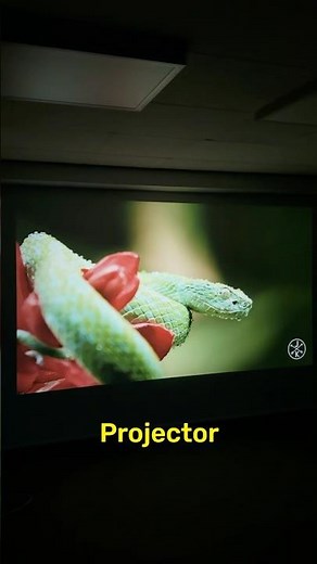 Affordable Portable Smart Projector!! #fyp #projector #smart #techtok #techtips #viral #xiaomi