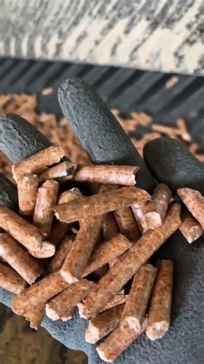 Fuel pellets making machine for sale #fcnfm #pelletmachine