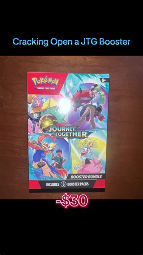 Journey Together: Torchic and Pokemon Collectibles