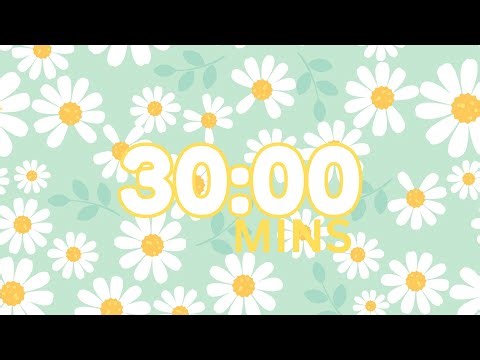 30-Minute Countdown Timer – Lo-Fi Study & Work Music 🎵for Deep Focus✨