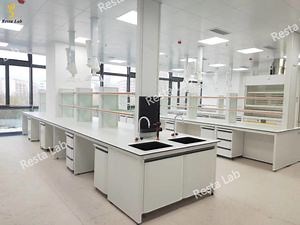 [Hot Item] Corrossion Resistant Lab Bench Table for Chemical and Biological Laboratory Furniture with Good Price