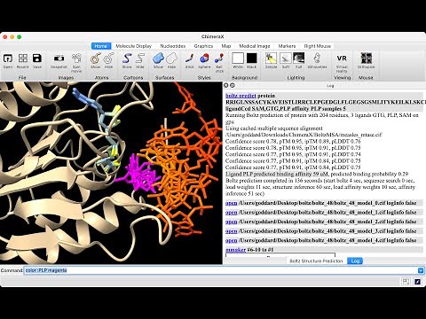 Predict small molecule binding affinity with Boltz 2 in ChimeraX