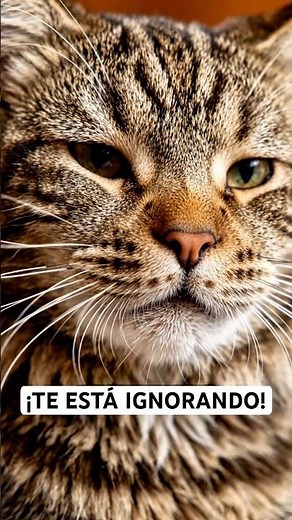 Do cats recognize their names… or are they ignoring you on purpose? 😹🐱