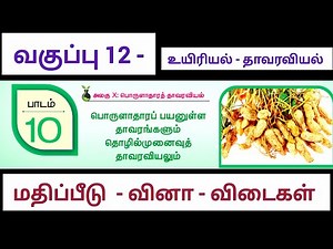 வகுப்பு 12 | உயிரியல் | தாவர உயிரியல் | பாடம் 10 | வினா விடைகள்