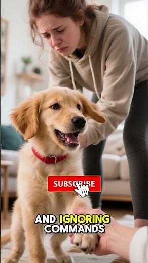 How I Trained a Puppy at Home Step by Step