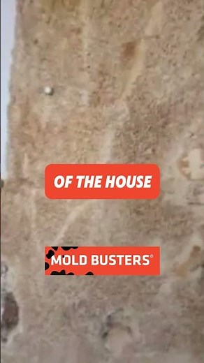 Possible Asbestos Identified Free Virtual Inspection