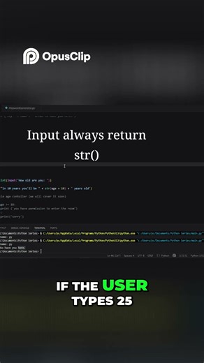 Python Input Function: Beginner's Most Common Mistake