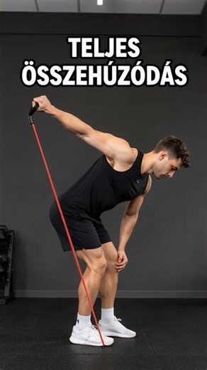 Tricep Kickbacks with Resistance Band 🔥 Beginner Arm Workout at Home