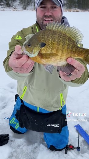 Pinhead Pro Gills - Fishing with the 1/32 oz. Pinhead Pro