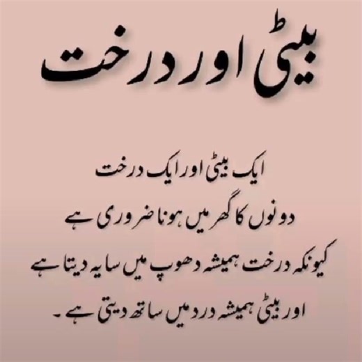 Momina Sundas Deep Lines Status Urdu Best Poetry | Poetry Short shayari shorts viral April 27, 2026