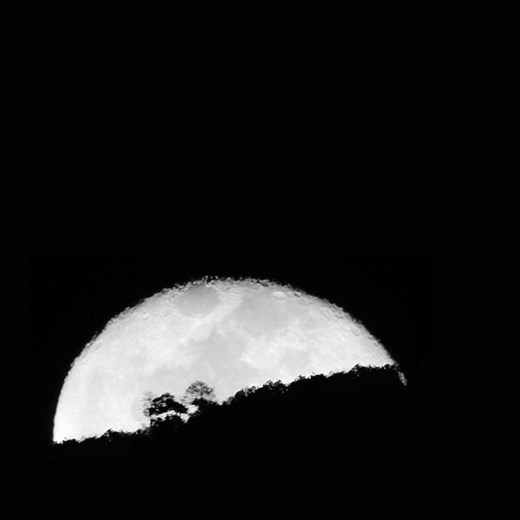 25K views · 275 shares | Learn how fireflies can be a good indicator of the health of the environment during a new episode of #AgeOfNaturePBS, airing tonight at 10/9c. | PBS | Facebook