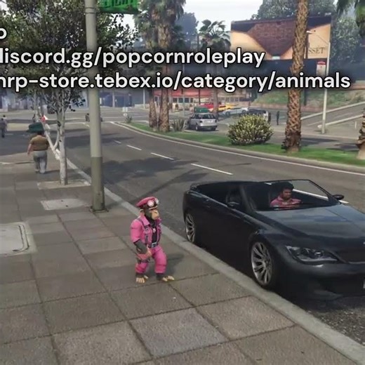 Space Chimps - coming to popcorn rp soon! - Join Today: https://discord.gg/popcornroleplay