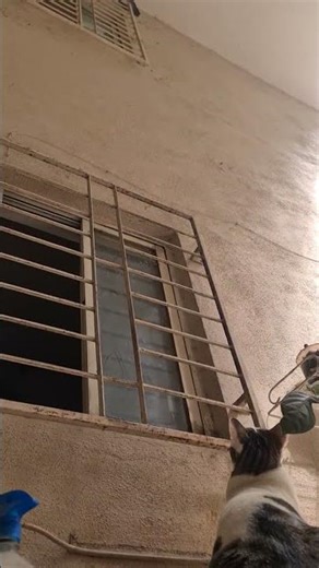 Cat squad 🤣 #12_sushil_kumar