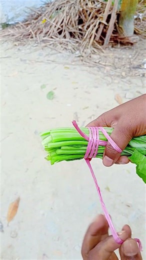 Market Secret Knot Trick