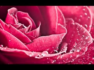 Mīlas dziesma- Duets DIVI- Baudi šo dzīvi.