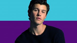 Shawn Mendes: tudo o que você precisa saber sobre o cantor