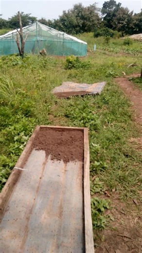 Soil Solarization is using the sun to heat the soil as to kill the deadly micro in the soil The sun is place in the sun fir several hours #farmritewithYinka | Farmvilla Resource Centre | Facebook