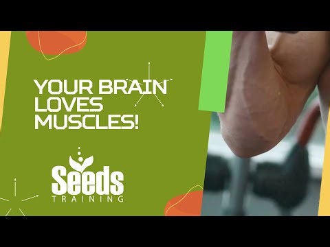 Why Your Brain Loves Muscle: The Science of Strength & Cognition
