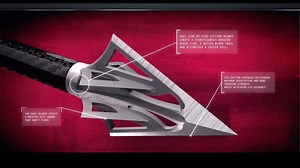 46K views · 479 reactions | Not new anymore, but still deadly! If you haven't considered the F-15 broadhead from Carbon Express, check out this clip. | Carbon Express Arrows | Facebook