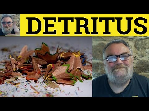 🔵 Detritus Meaning - Detritus Examples - Detritus - Vocabulary - Detritus