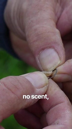 Colorado's Worst Bear Year Just Sent An Angler To The Hospital #bear #storytime #horrorstories