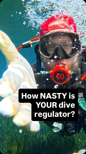 Kenny Dyal on Instagram: "How to clean a dirty scuba regulator (FYI it’s not the mouthpiece) 🤿🤮💦 #scubadiver #gross #scubamemes #scubagear #sweetwaterscuba"