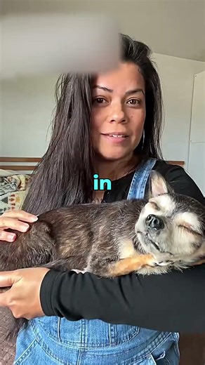 The HARDEST Job After Losing a Pet 🐾