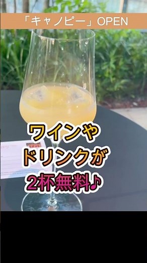 Newオープン！大阪梅田「キャノピー」のスイートルームに宿泊、ヒルトンのダイヤモンド会員特典で「ゴールデンアワー」＆朝食無料などお得に滞在。 #ショート#Shorts