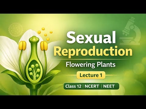 Sexual Reproduction in Flowering Plants | Class 12 Biology | Lecture - 1| NCERT + NEET Explained