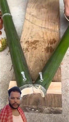 DIY Bamboo Seed Extraction Hack: Genius Boy Builds Incredible Wooden Machine for Vegetable Seeds!