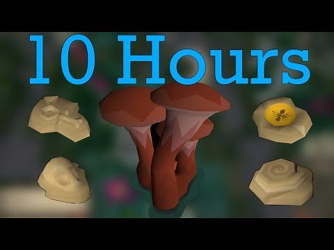 Loot from 10 hours of Sulliuscep mushrooms (Possibly the fastest way to get fossils) - OSRS