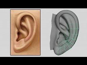 How to Model an Ear - Low Poly to Intermediate 3D Modeling Tutorial - Box Modeling